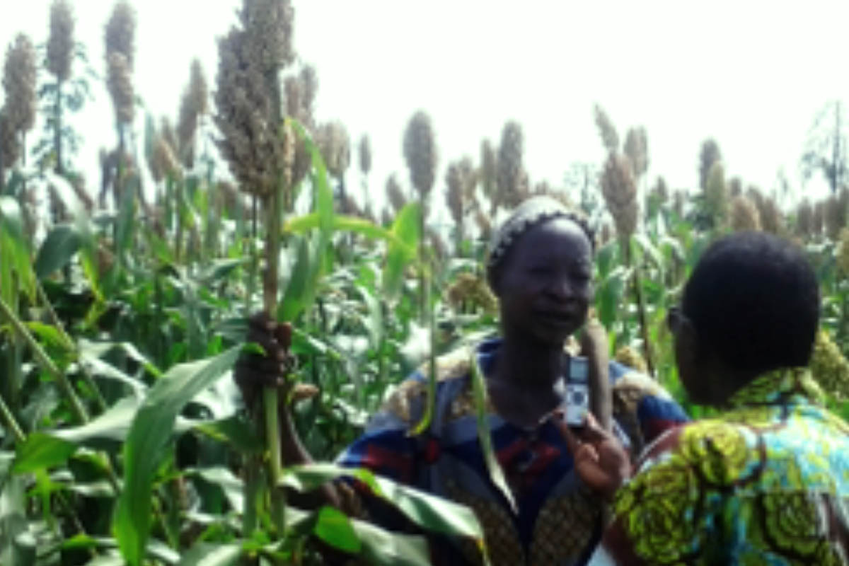 Un paysan innovateur interviewé dans son champ, dans le centre-nord du Burkina